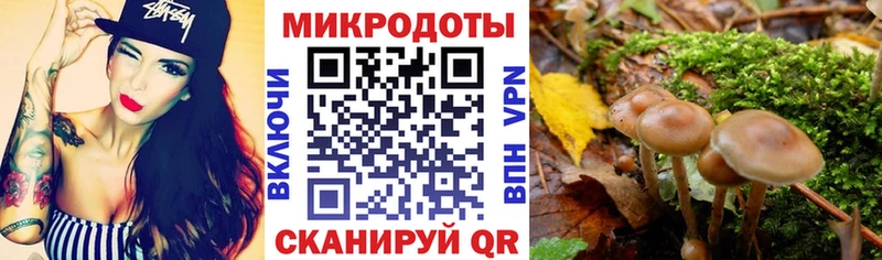 Купить  Рыльск  Галлюциногенные грибы Psilocybine cubensis 